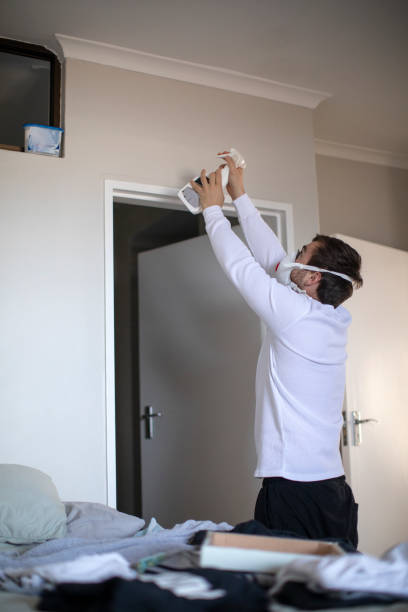 Best Mold Damage Restoration  in Pine Mountain Lake, CA