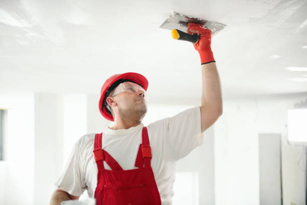 Best Mold Removal for HVAC Installations  in Pine Mountain Lake, CA