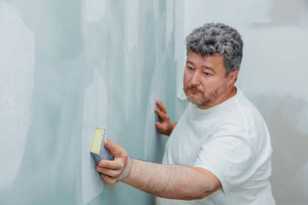 Best Post-Construction Mold Inspection  in Pine Mountain Lake, CA