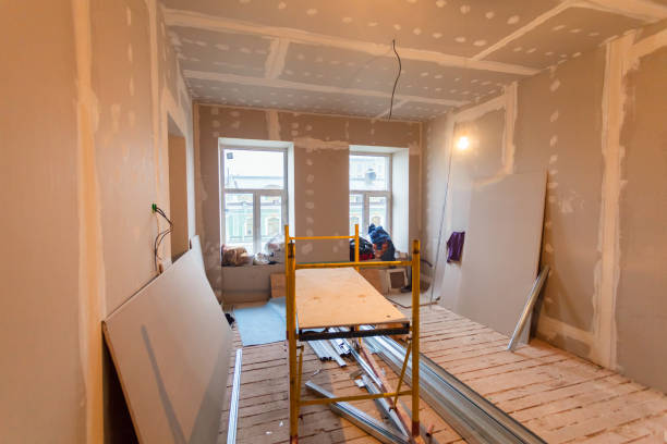 Professional Mold Removal in Pine Mountain Lake, CA